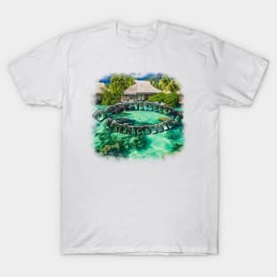 Destination Unknown Summer Vibes T-Shirt